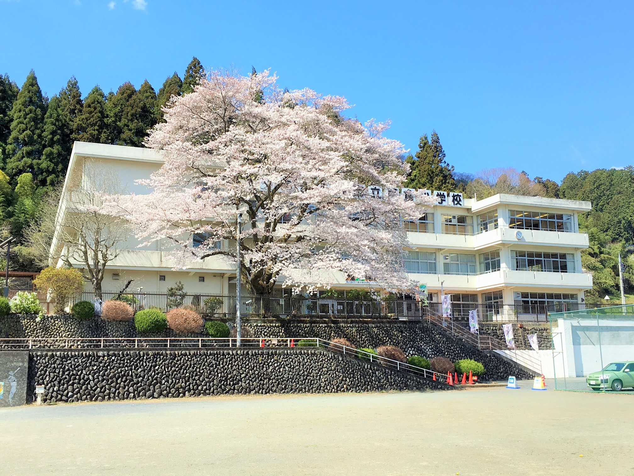 戸倉体験研修センター　桜と校舎